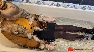 Russian Home Wetlook - rhw_128. A warm autumn look
