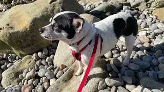 Why No Videos - Out in Nature