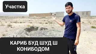 Срочно хабари Мухи барои Мусофиро