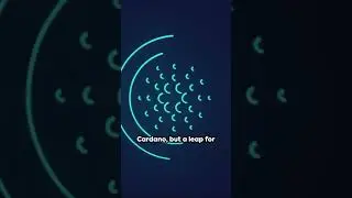Cardano New Stable Coin Announced 