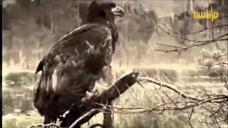 Сулима пайхамарин дахаран юкъера дийцар