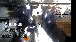 ПРИКОЛЫ,КОСЯКИ В ДЕРЕВЕНСКОЙ ЖИЗНИ