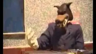 Kurban- Sorma