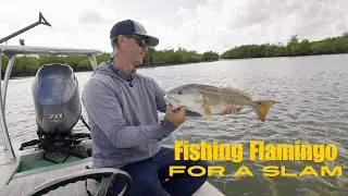 The Flamingo Slam! Nonstop Action on Artificials! Snook, Tarpon, Redfish & Trout!