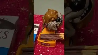 Taking schoko 🍪  sticks von Sondey #ASMR #maddog viral shorts #satisfying sounds (3)