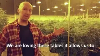 Introducing GGS' New Grow Net Support Systems