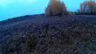Коп по старине.Разведка нового места и снова перепаханная деревня Часть 3.