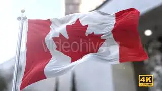 3D Flag V2