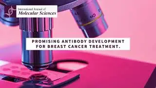 Promising antibody development for breast cancer treatment