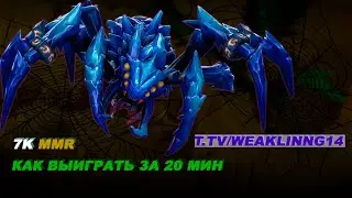 BROODMOTHER 7k mmr -  имба бруда в патче crownfall #broodmother #дота2 #бруда #dota2
