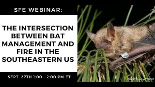 SFE Webinar: The Intersection Between Bat Management and Fire in the Southeastern US