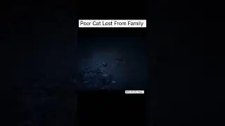 Poor Cat Lost From Family 😿 | Best High Graphics Gameplay Video | #catlover #sad #cat #family #viral