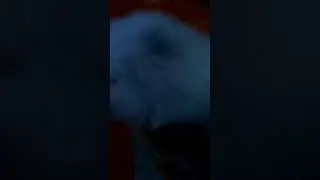 Котятки 😆😆😆