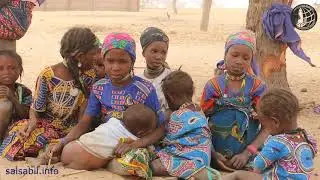 N° 859 (Niger; Zinder 02.2018)