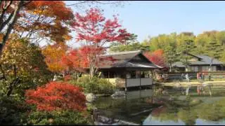 I'll Never Fall in Love Again / Dionne Warwick / MIDI with lyrics
