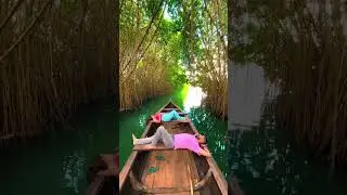 This surreal place is in Kerala #shorts #travel