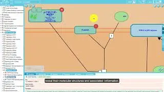 (Created in 2016) Reactome Pathway Browser 3.2   Short introduction