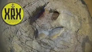 Dinosaur footprints - Pegadas de Dinossauro - Salema, Portugal