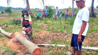 Junior chainsaw operator at freehand milling