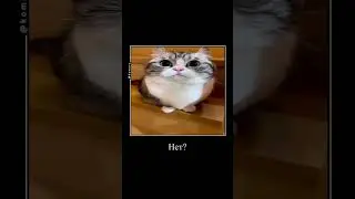 КОМАРУ не дали соль 