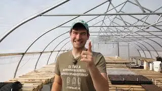 3 Tips to Speed Up Seed Germination by 3X