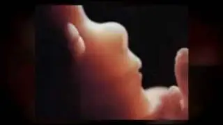 Календарь беременности на 