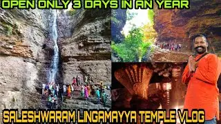 #Saleshwaram Lingamayya Jathara 2023 | Telangana Amarnath | Nallamalla Forest | Must Visit #trending