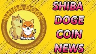 SHIBADOGE NEWS YOUTUBE VIDEO INCOME + TELEGRAM ANNOUNCEMENT