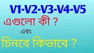 V1-V2-V3-V4-V5 এগুলো চেনার উপায়
