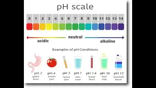 pH value explained in Tamil #shorts