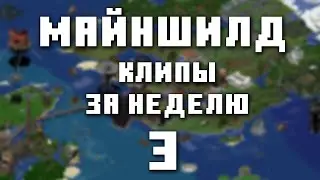 МайнШилд 3 | Клипы за неделю | Часть 3