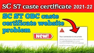 Cast Certificate Website Problem || Your Connection is Not Private || Cast Certificate Status Check.