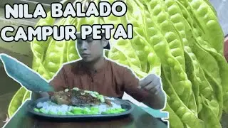 Mukbang Ikan Mujaer Balado+Petai