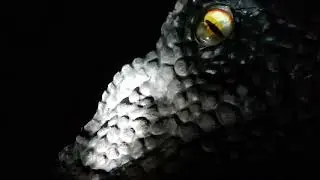 Raptors Escape - loss of power at Dino Safari Park - the Jurassic immersive experience Prehistoric