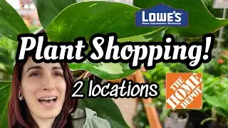 BIG BOX PLANT SHOPPING!! 🪴Trending Tropicals + More at Lowe's & Home Depot in Bloomfield CT 🌻