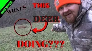 Buck gone crazy 