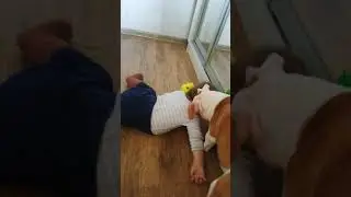 Собака и дети