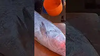 ادخل تابعونا ديما الجديد