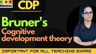 Bruner's Cognitive development theory | REET/CTET/UPTET/KVS/DSSSB/HTET/MPTET | CDP Mentor By Radhika