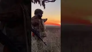Погасить из лука Солнце 🌞