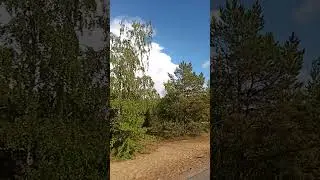 25 июня 2023 г.