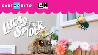 Lucas the Spider - The Altogether Song - Short