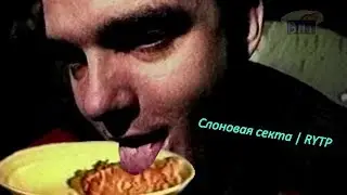 Слоновая секта | RYTP