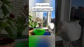 8 июля 2023 г.