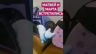 Матвей и Марта встретились на приёме 