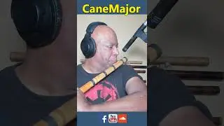 A flute solo with the AKG P170 pencil microphone