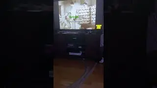 Singing Frank Black’s Fu Man Chu Thanks Karaoke from space