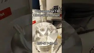 Piston Zlotecki on T40, T25, T16 