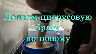 Делаем цитрусовую брагу по-новому