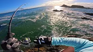 Land Based FISHING Northern New South Wales, AUSTRALIA! | Living Off The Land